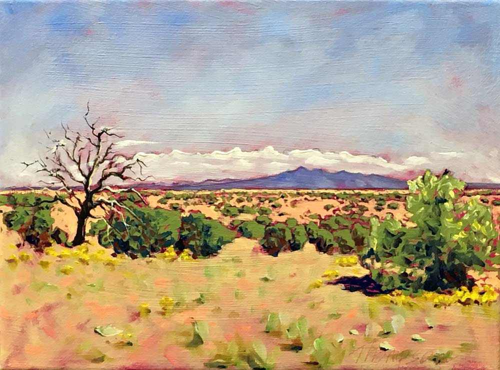 Desert East of Sandia Mountains by Stuart Thompson