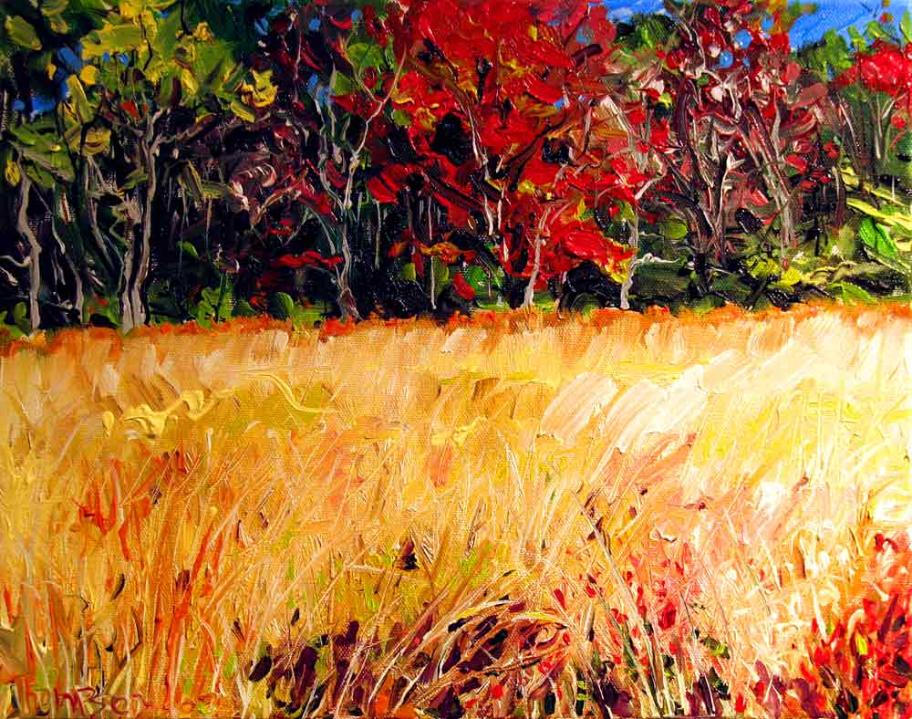 Mountain Meadow by Stuart Thompson